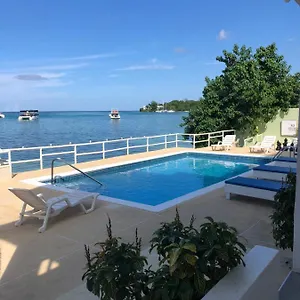 book here