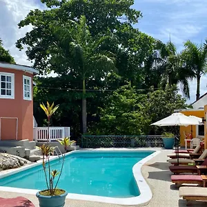The Blue Orchid , Montego Bay Jamaica